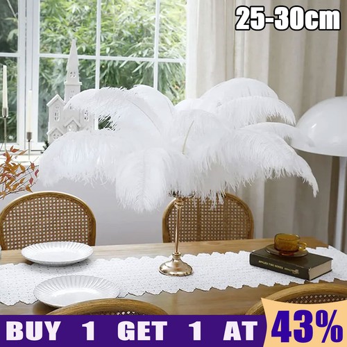 10x large bulk ostrich - 10x,