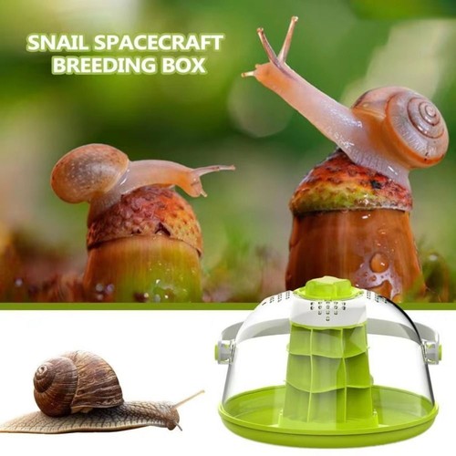 Removable snails breeding - snails, tank