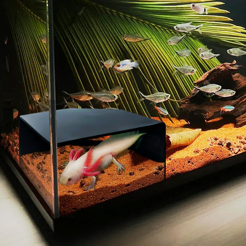 Aquarium corner cave hide - corner,