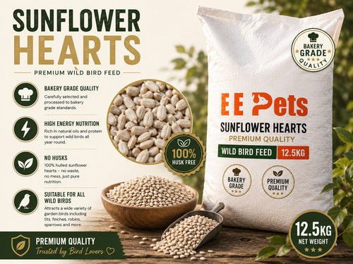 Sunflower hearts premium - sunflower,