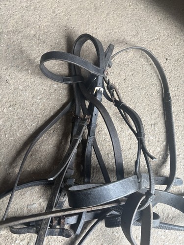 Windsor pony bridle with - bridle,