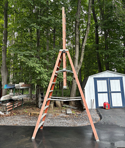 Trestle ladder