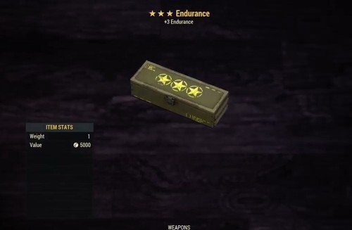 Endurance legendary mod - endurance,