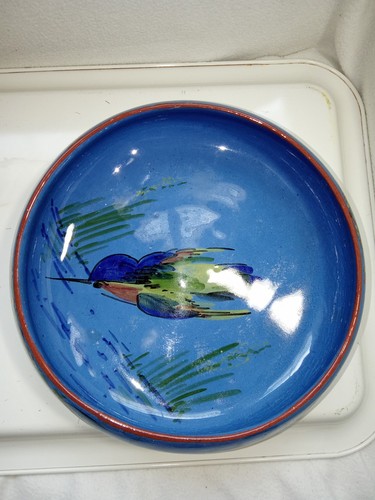 Beautiful clobolt blue - clobolt,
