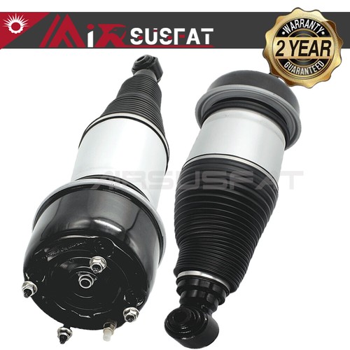 Rear air suspension shock - rear,