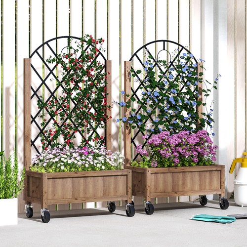 Pack wooden raised - of,