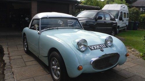 Austin healey frogeye sprite - austin, 'frogeye'