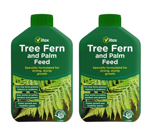 Vitax tree fern palm - tree,