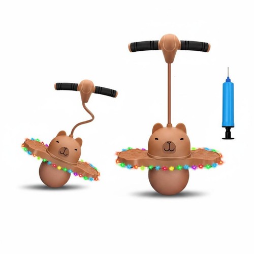 Light pogo ball - light, portable