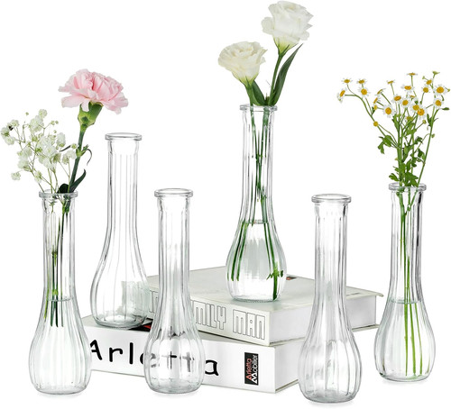Glass bud vases for flower - bud,