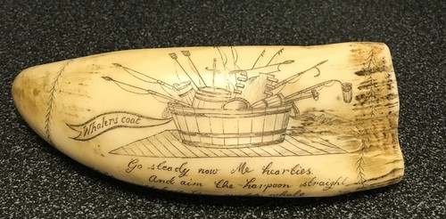 Scrimshaw sperm whale - scrimshaw, tooth
