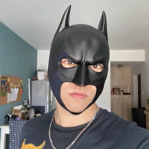 Professional batman mask - professional,