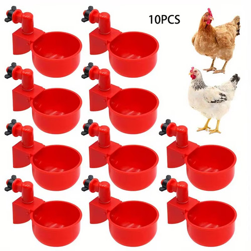 Automatic chicken water - 10, cup