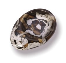 Caves De Bordeaux Pottery Bowl