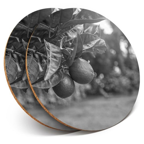 Coasters citrus - bw,