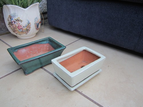 Vintage glazed bonsai plant - glazed,