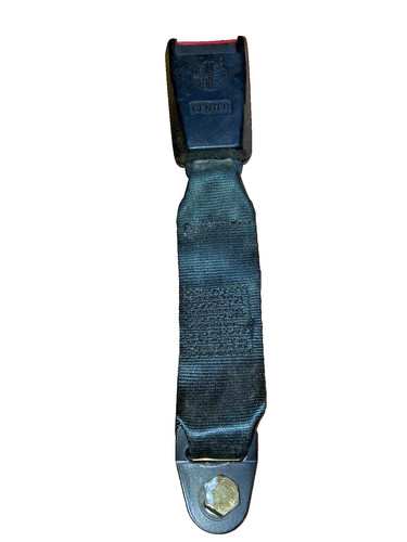 Belt buckle seat belt rear