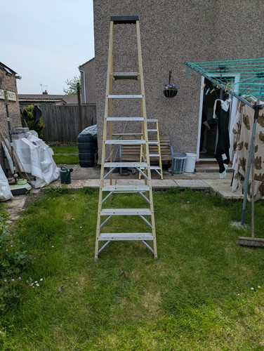 Youngmans platform tep - platform,