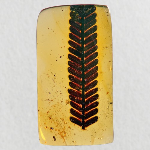 Stunning leaf inclusion - stunning, in