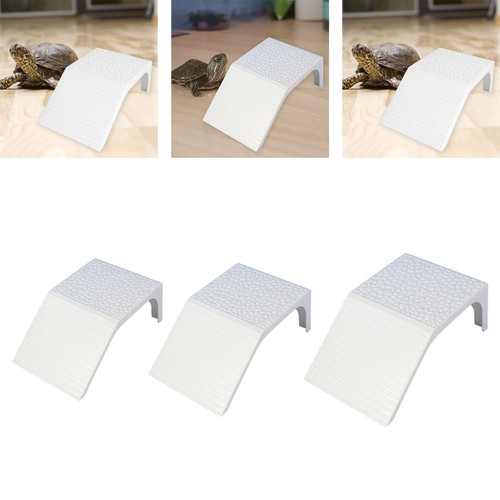Tortoise ramp terrapin - ramp,