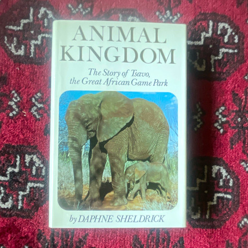Daphne sheldrick animal - daphne,