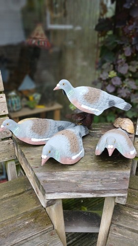 Pidgeon decoy set - pidgeon,