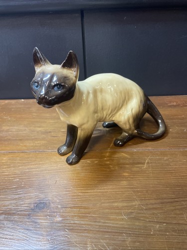 Vintage siamese cat - cat, ~