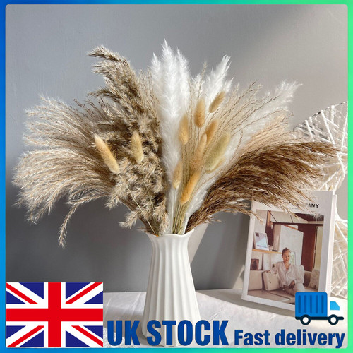 15pcs dried flowers bunch - dried,