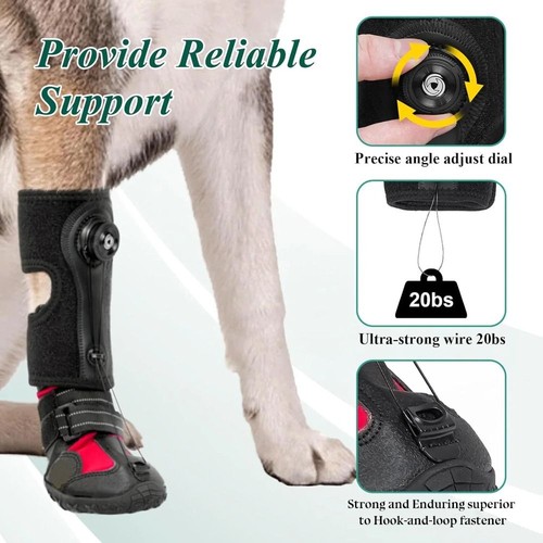 Knuckling boot brace dog - no,