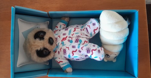 Baby oleg meerkat grub - meerkat,