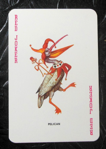 Joker pelican jester - joker-pelican,