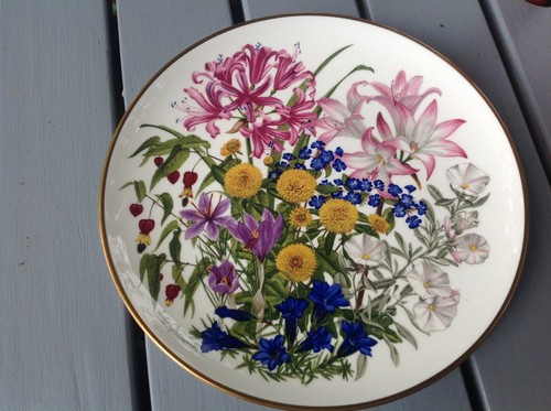 Wedgwood royal horticultural - wedgwood,