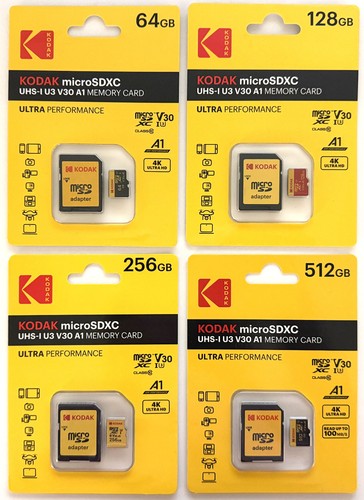 Kodak micro memory - kodak,