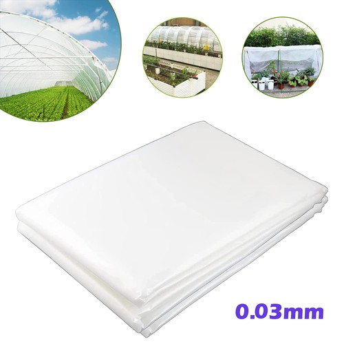Clear polythene sheet - sheet, roll