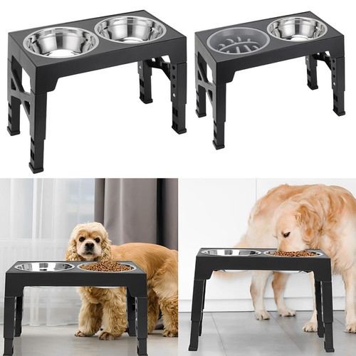 Elevated dog double - dog,