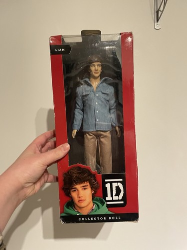 Liam payne one direction - one,