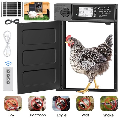 Automatic chicken coop - coop, door