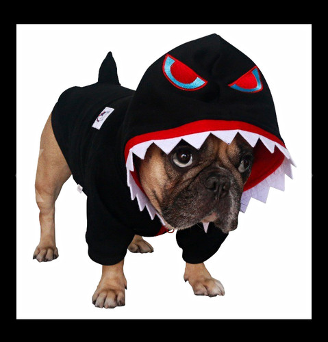 Ichoué shark dog - shark, costume