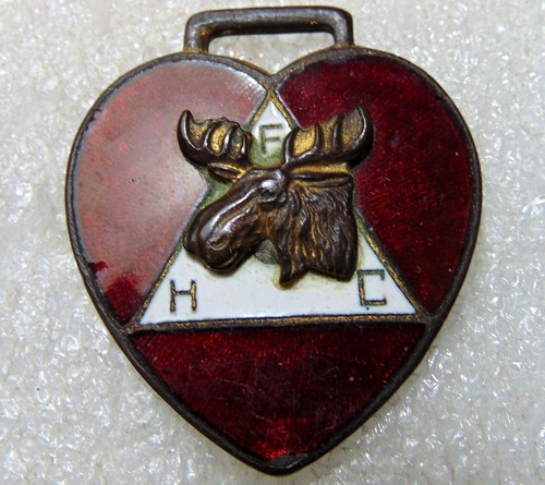 Unusual loyal order moose - loyal,
