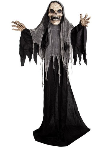 Sale six foot - six, 180cm