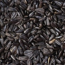 25KG (2x 12.55Kg) BLACK
