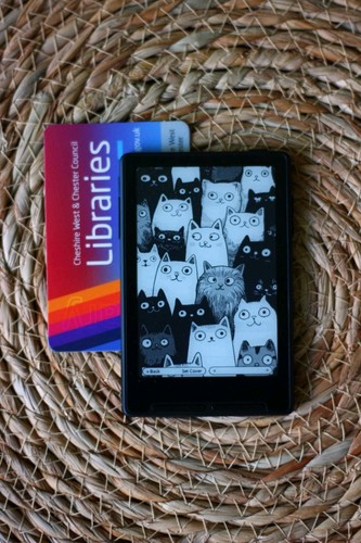Xteink stock black - xteink,