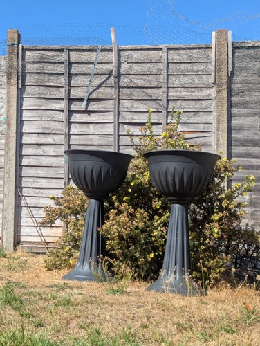 Pair black urn plant pot - pair,
