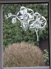 FROSTED / ETCHED GLASS VINYL DECALS, WINDOW STICKERS, VARIOUS FLOWERS, DOORS