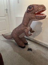 Remote Control Inflatable