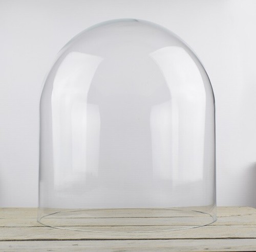 Large glass dome display - large,