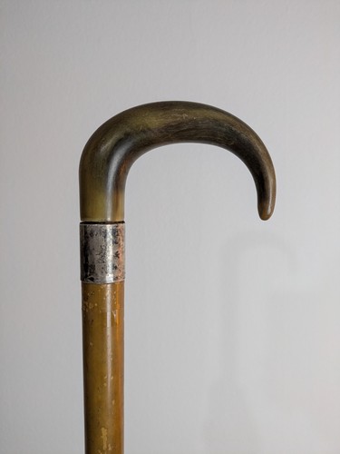 Antique walking stick silver - antique,