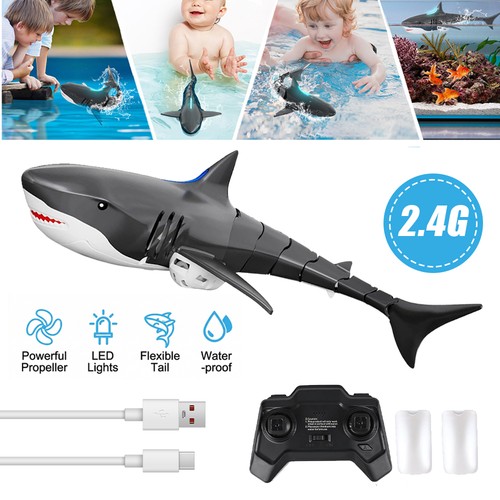 Ghz shark toy - 2.4,