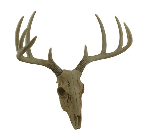 Little bucky wall mounted faux - little,