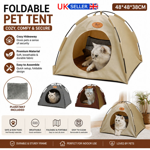 Warm pet dog cat - pet,